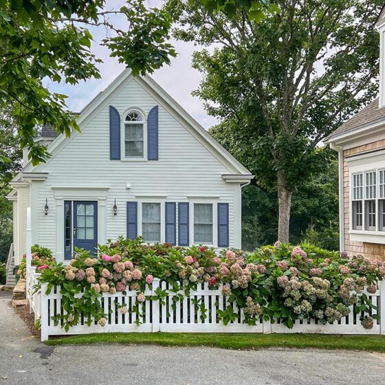 Sage cottage with blue shutters and hydrangea hedge, First Coast neighborhoods