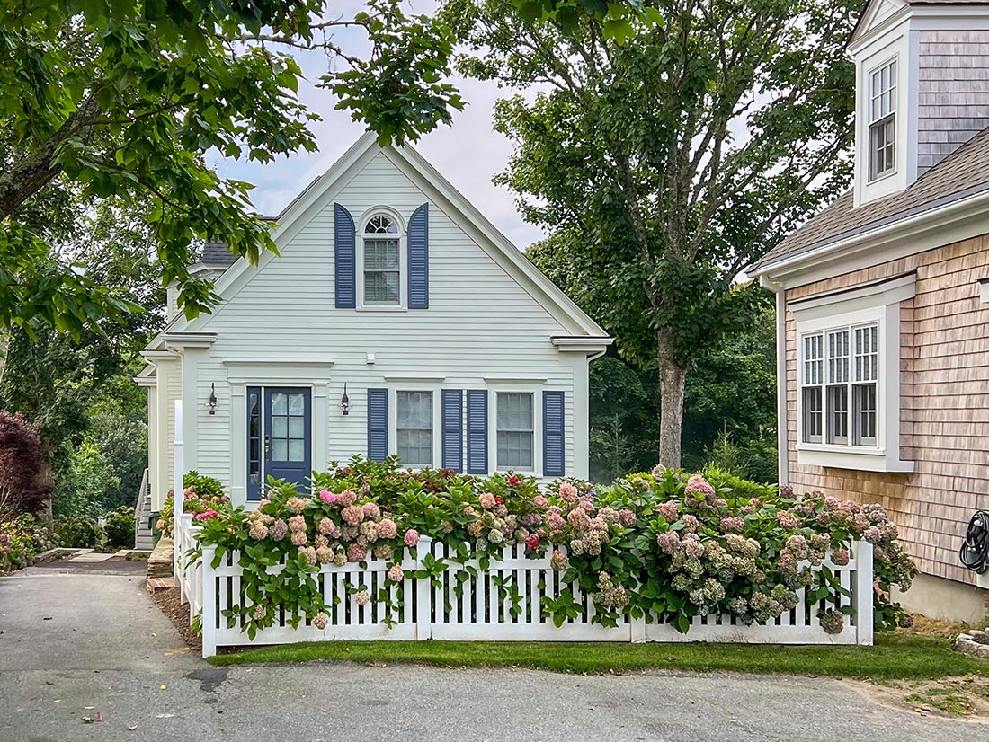 Sage cottage with blue shutters and hydrangea hedge, First Coast neighborhoods
