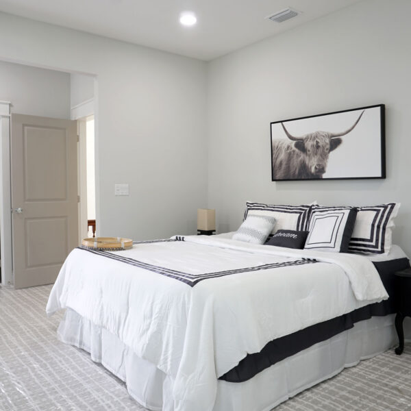 09-classic-colonial-primary-bedroom-walk-in-closet Primary bedroom in soft gray with a doorway opening into the fitted walk in closet