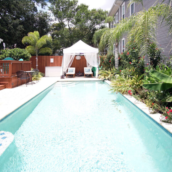 14-shotgun-house-lap-pool-tropical-courtyard-jacksonville Long swimming pool bordered by palms and flowering tropical plantings in the private courtyard