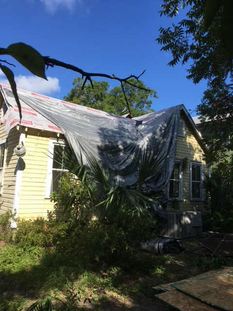 modern-farmhouse-during-roof-underlayment-tarp-cover-jacksonville-mnm-homes-07-01 Renovation in progress: plastic sheeting and new roofing underlayment covering the roof of a wood sided house